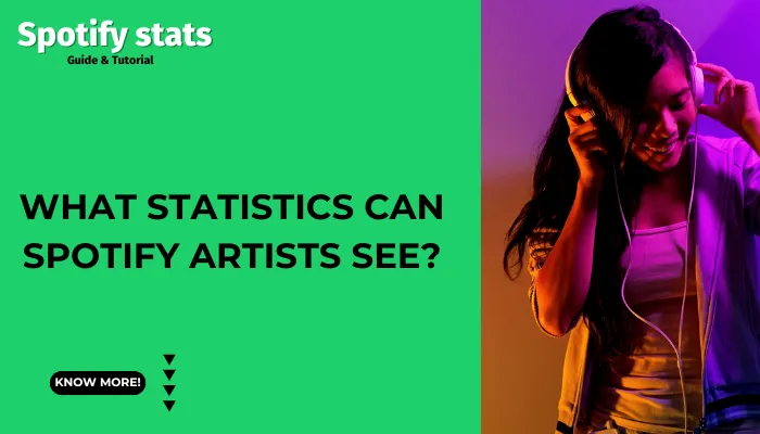 What Statistics Can Spotify Artists See?